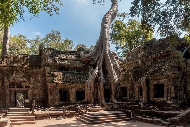 Private Tour: Siem Reap Full Day Tour With Angkor Wat Banteay Srei Bayon Temple and Ta Prohm