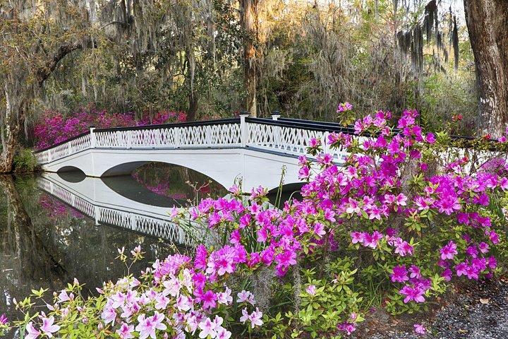 Magnolia Plantation Admission & Tour with Transportation from Charleston