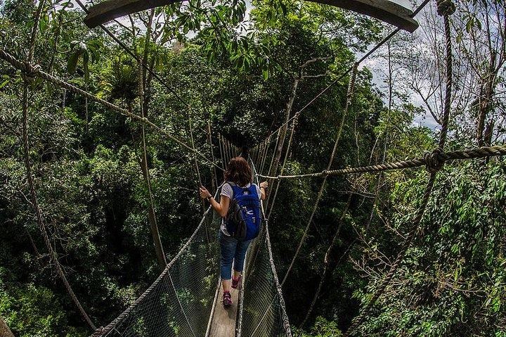 Full-Day Kinabalu Park and Poring Hot Spring Day Trip