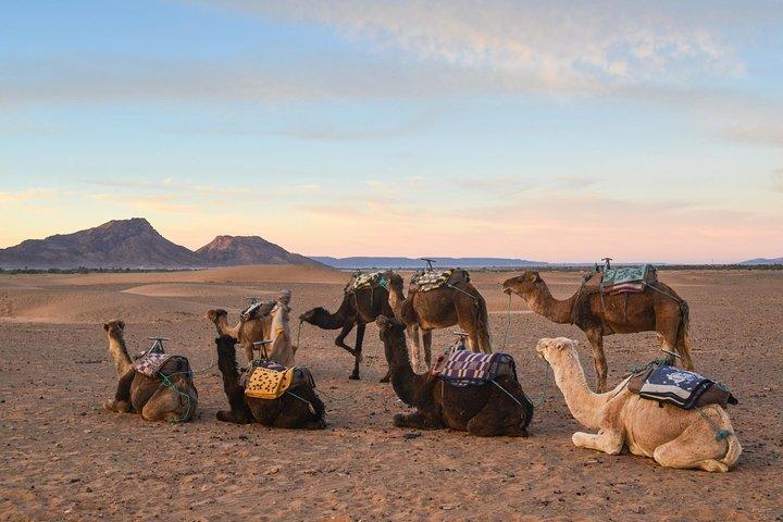 02 Days Marrakech - Ouarzazate - Zagora
