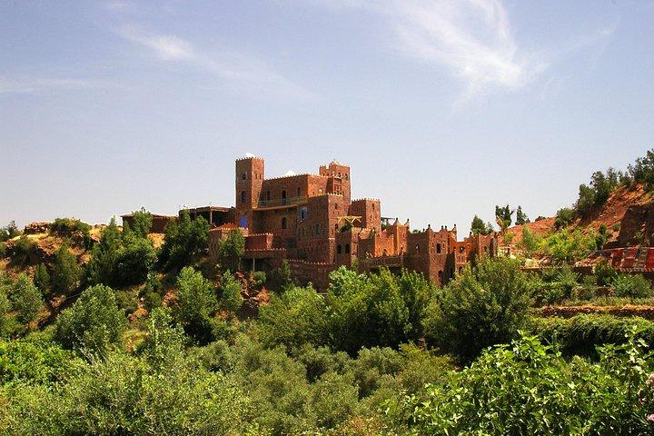 Marrakesh To Atlas Mountains Private Day Trip