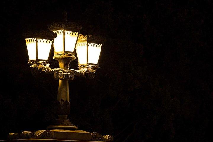The Bright Lights of Budapest - Private Walking Tour with Boat Cruise & Drink