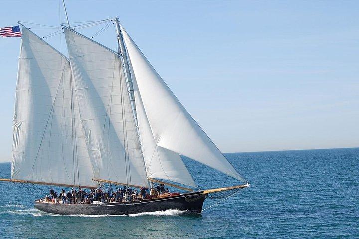 San Diego Whale Watching Cruise