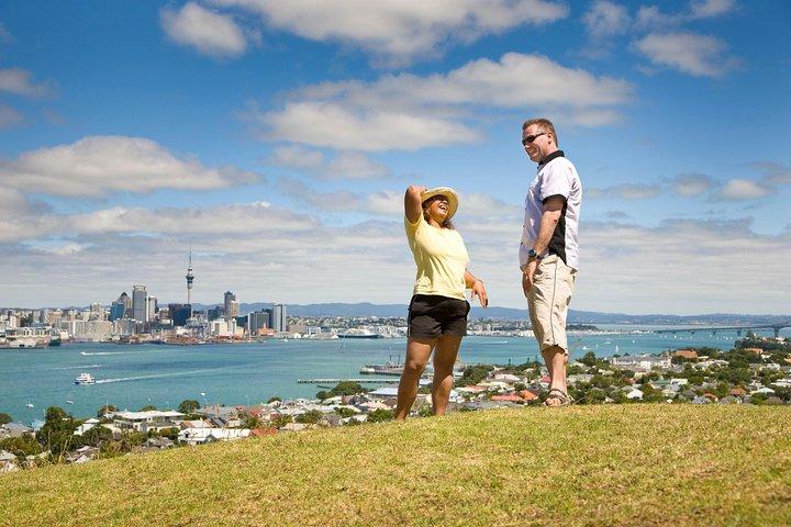 Private Auckland Half Day Tour