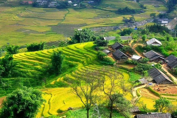 Sapa Trekking 1 Day Trip to Lao Chai, and Ta Van Village