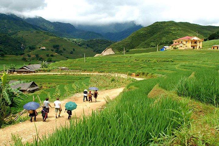 Sapa Trekking 1 Day Trip to Lao Chai, and Ta Van Village