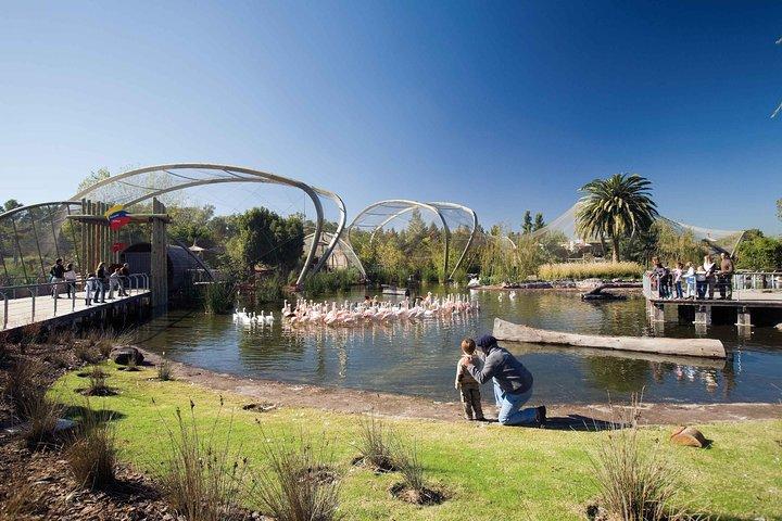 Temaiken Tour from Buenos Aires: A Journey to Nature