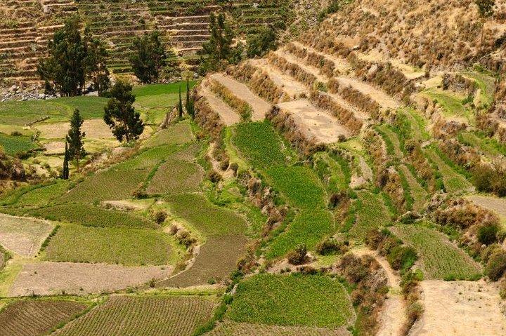 Private Tour Arequipa: Countryside Tour, Sabandia Mill and Founder's Mansion