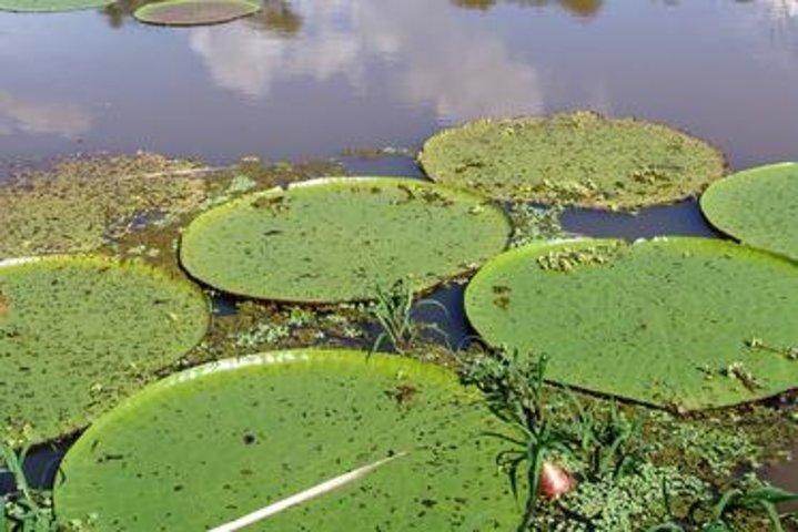 Iquitos Transfer from Airport to Hotels