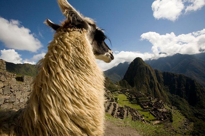 6-Day Cusco and Machu Picchu Tour: Sacred Valley & Maras Moray