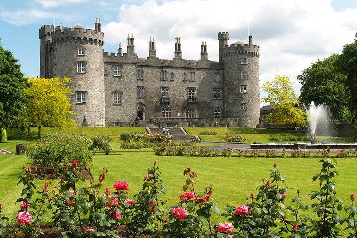Kilkenny, Wicklow and Glendalough Sheepdog Trials from Dublin