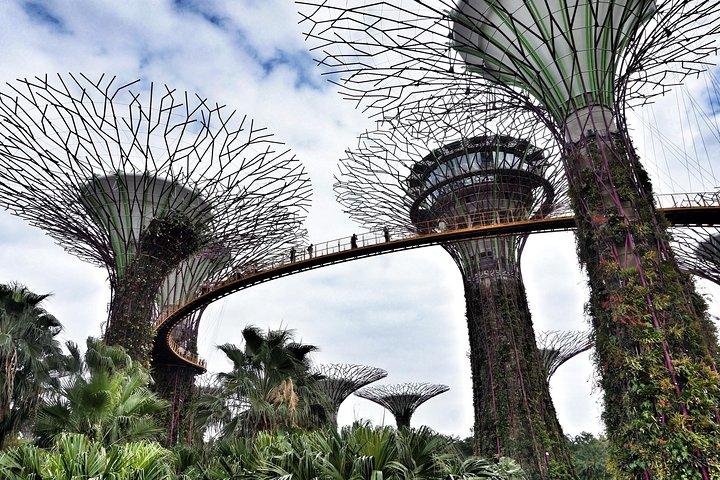 6 or 8 Hour Private Shore Excursion of Singapore by walk
