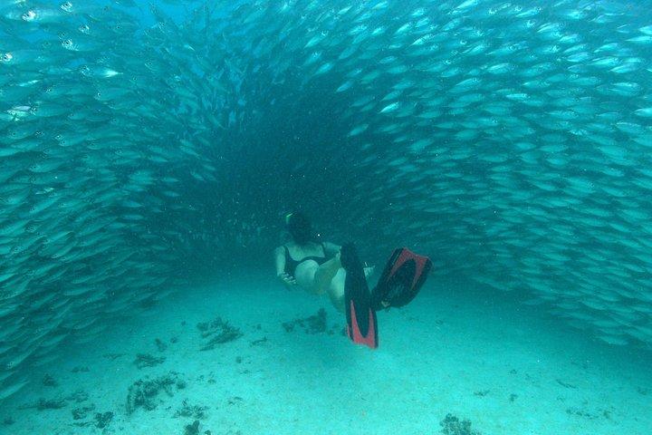 Mayan Adventure from Playa del Carmen