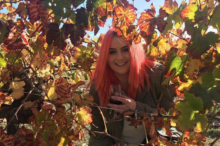 Swan Valley Winery Experience - Full Day Coach Tour