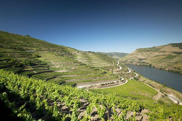 Douro Valley and Wine Day Trip from Porto