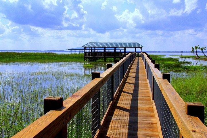Wild Florida Adventure Package Tour with Hotel Pickup & Lunch