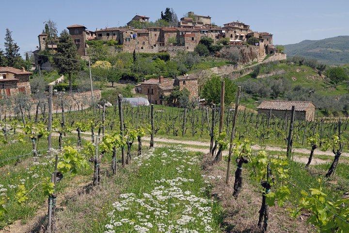 Private Siena to Florence Chianti and San Gimignano Transfer Tour