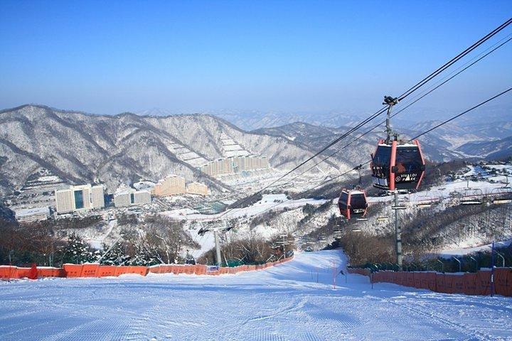 Vivaldi Park Ski Resort One Day Tour