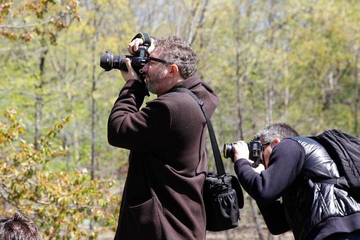 Central Park Photography Tour with Local Photographer