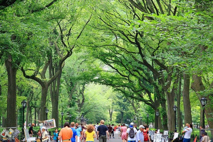 Central Park Photography Tour with Local Photographer