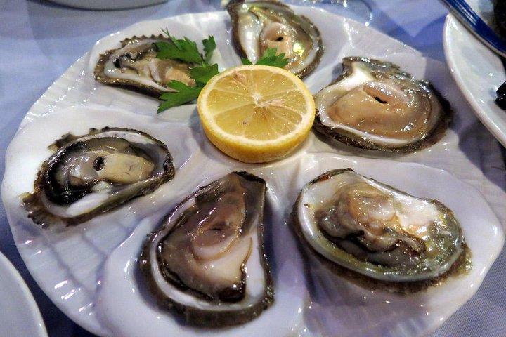 Private Tour: Mali Ston Day Trip with Oyster Tasting from Dubrovnik