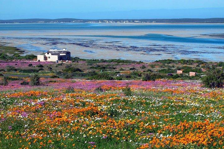 West Coast Wonders Full Day Tour with Private Transfer
