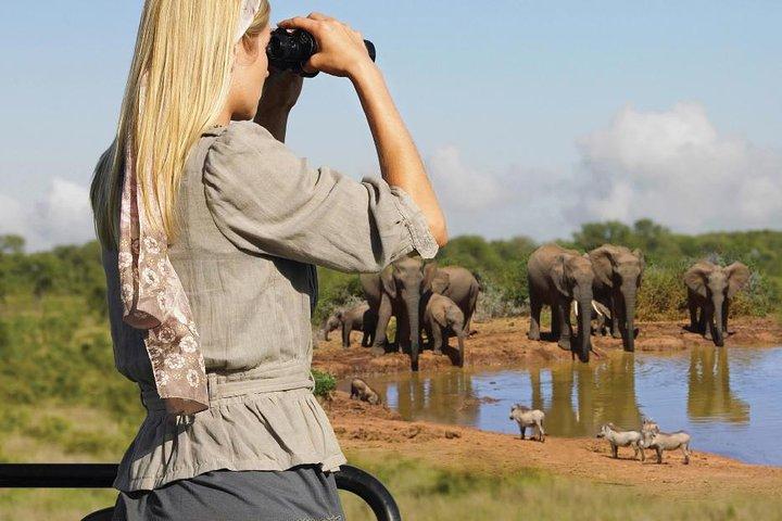 10 Day Cape & Garden Route Tour Combo with add-on accommodation