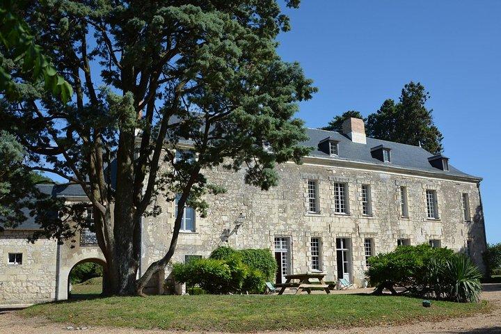 Loire Valley Wines Private Day Tour with Tastings from Tours or Amboise