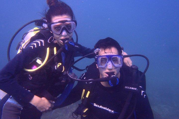2 Tank Boat Dives for Certified Divers