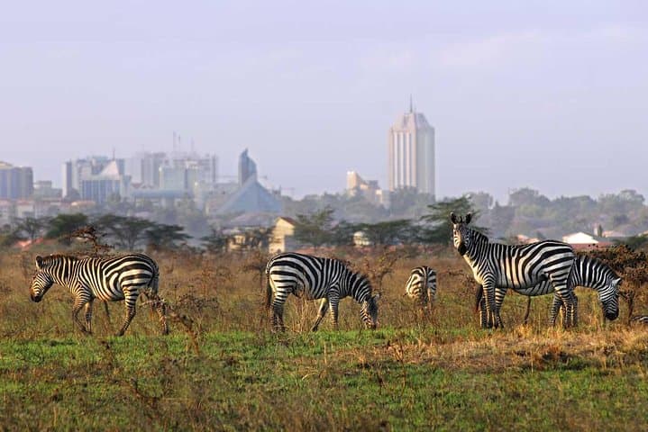 Nairobi National Park, Baby Elephant Orphanage and Giraffe Center