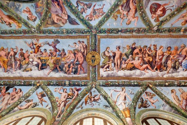 Skip-the-line Villa Farnesina and Raphael's Paintings private tour led by a local guide