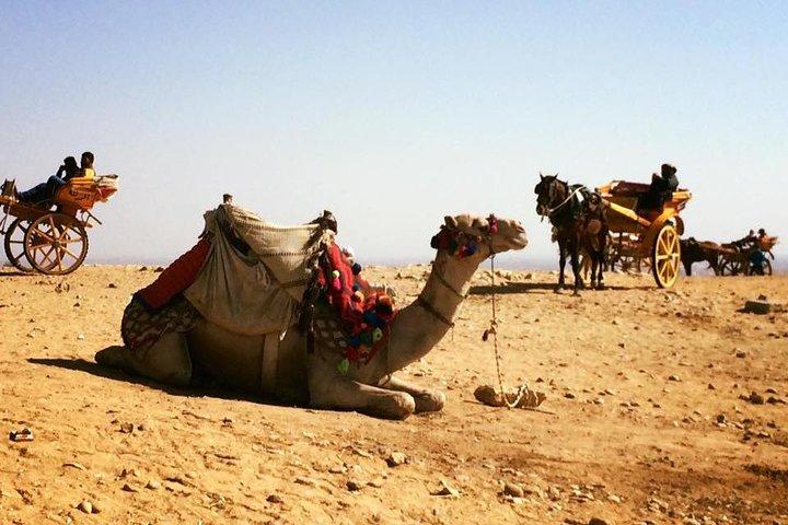 Ultimate 2-Day All-Inclusive Cairo & Giza Tour Package