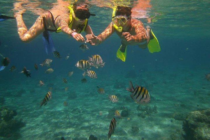 Snorkel Adventure at Cozumel Cielo! From Cancun & Riviera Maya