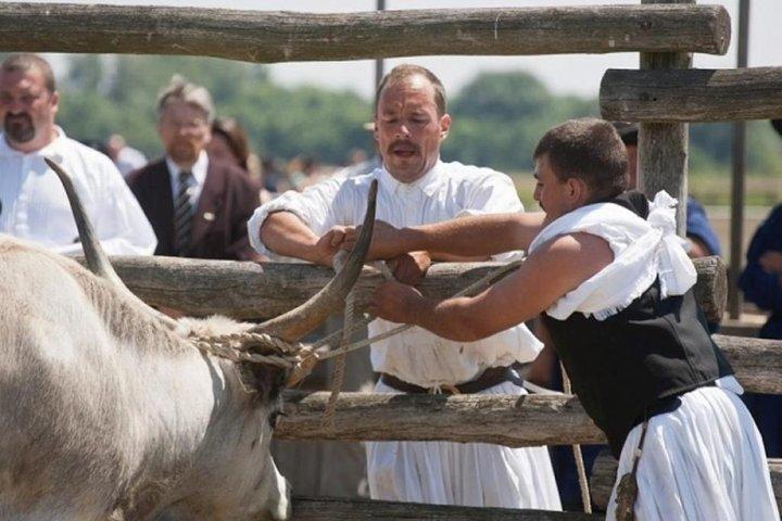 The puszta of Hungary, visit Hortobagy and Debrecen, private tour