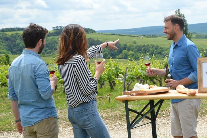 Chablis and Burgundy Wine Tour from Paris with Lunch & Sommelier