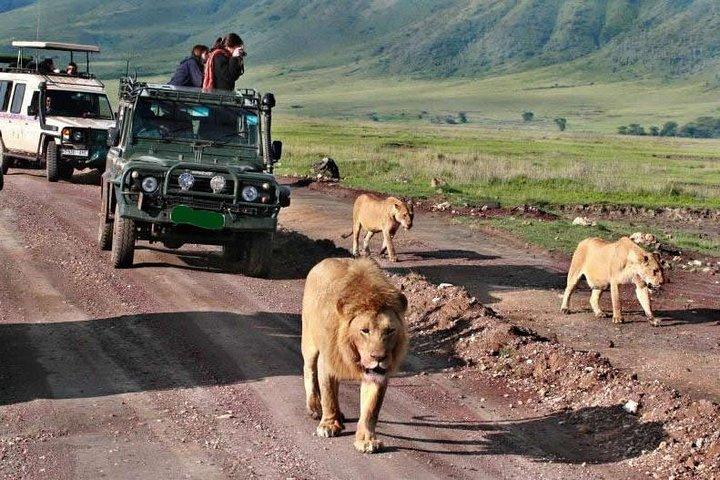 5Days Tanzania Camping Safari to Lake Manyara Serengeti And Ngorongoro Crater from Arusha