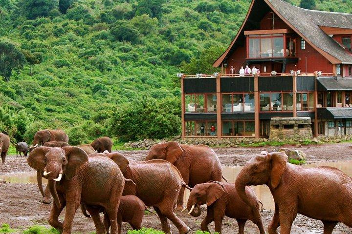 Private 5 Day Aberdare Lake Nakuru and Masai Mara Safari from Nairobi
