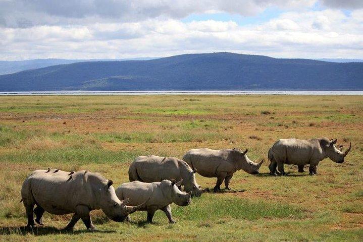 Private 5 Day Aberdare Lake Nakuru and Masai Mara Safari from Nairobi