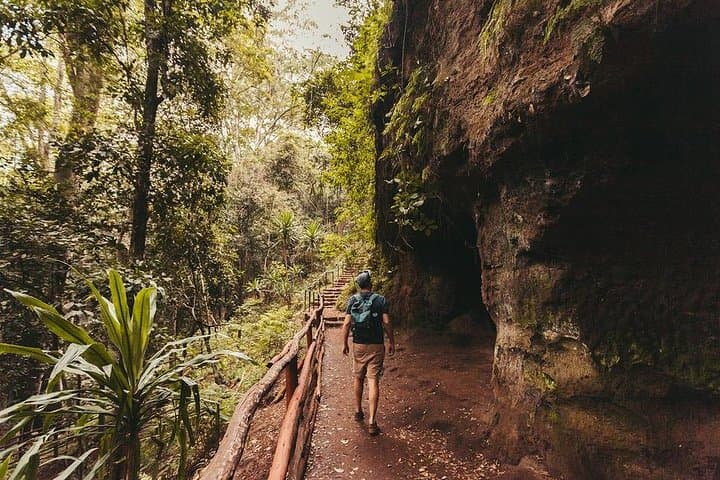Nairobi Day Tour to Karura Forest Hike, Trail Bike & Nature Walk