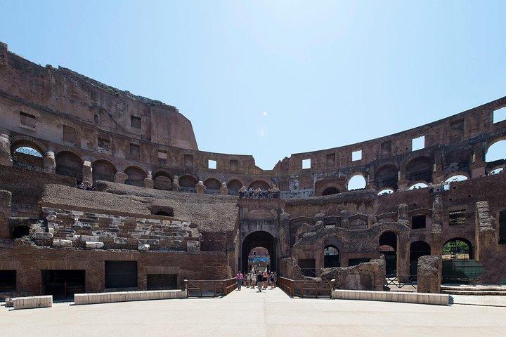 Colosseum and Ancient Rome Private Family Friendly Tour
