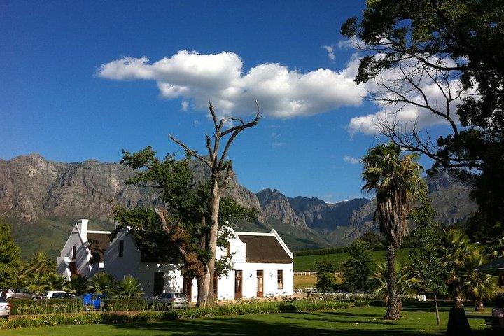 Full-Day Whale Watching and Wine Tasting Tour from Cape Town