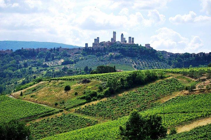 San Gimignano and Chianti Classico Wine and Food PRIVATE TOUR from SIENA