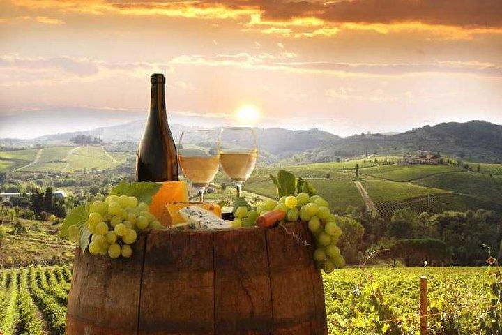 Private Chianti wine tour leaving from Florence