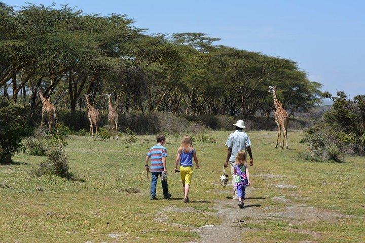 Day Trip to Lake Nakuru from Nairobi