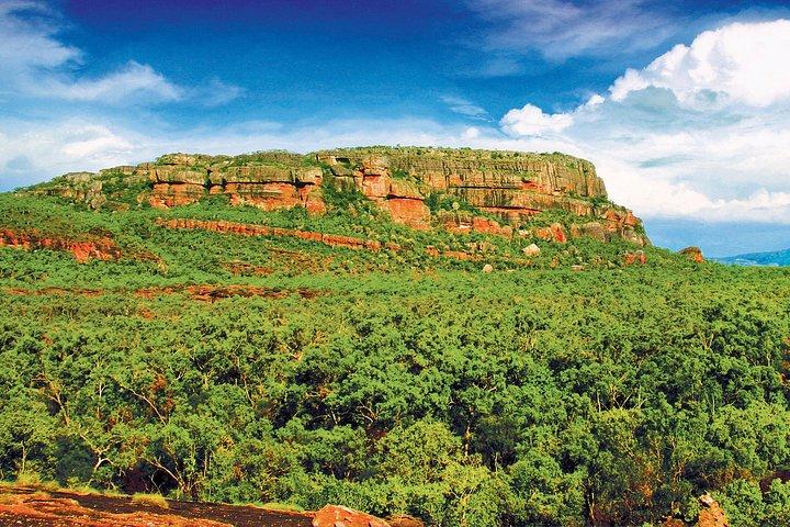 Darwin: Kakadu & Nourlangie Trip Plus Billabong Cruise with Lunch