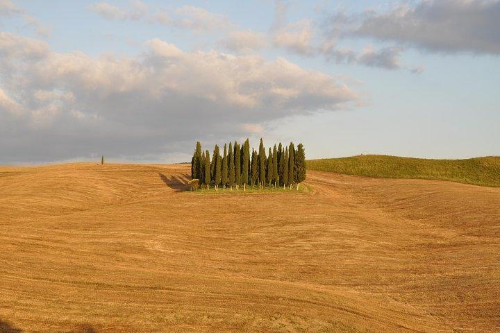 Private Day Trip to Montalcino and Montepulciano from Florence