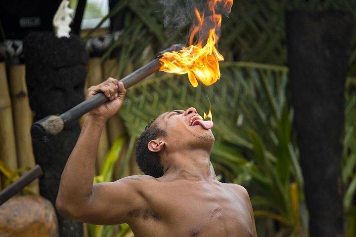 Fiji Cultural Full Day Island Cruise With Lunch & Transfers