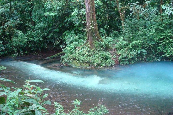 Río Celeste Nature Hike and Swimming experience at the blue river
