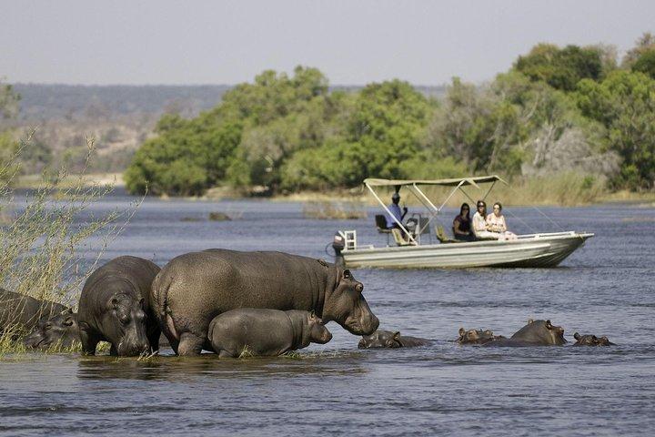 Chobe Extended Day Trip from Victoria Falls - Zimbabwe
