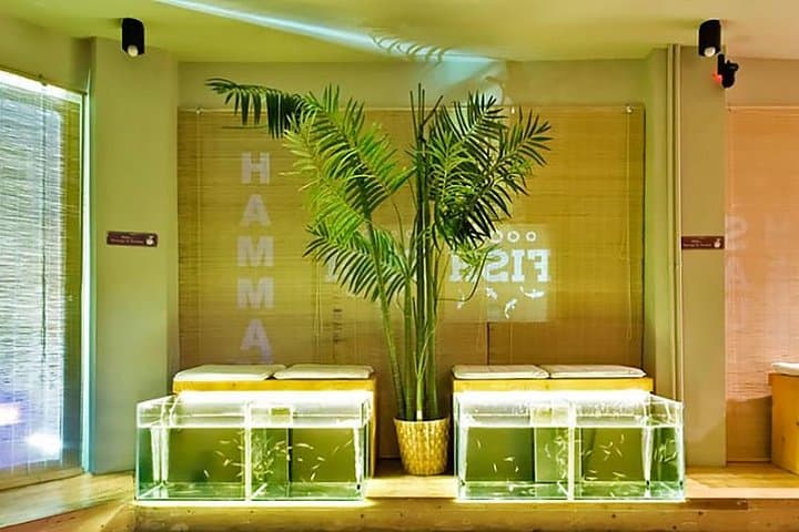 20-Minutes Natural Pedicure with Exotic Fish